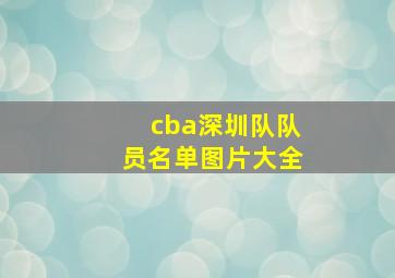 cba深圳队队员名单图片大全