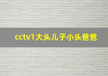 cctv1大头儿子小头爸爸