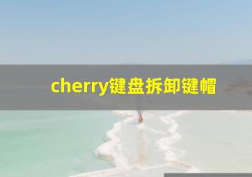 cherry键盘拆卸键帽