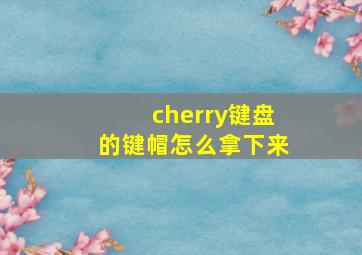 cherry键盘的键帽怎么拿下来