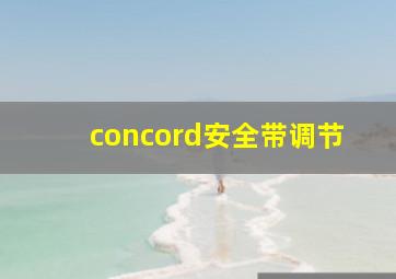 concord安全带调节