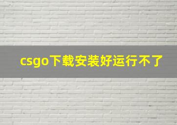 csgo下载安装好运行不了