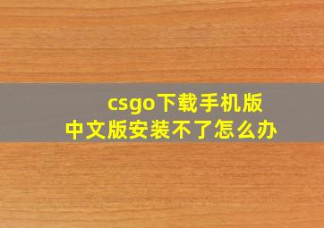 csgo下载手机版中文版安装不了怎么办