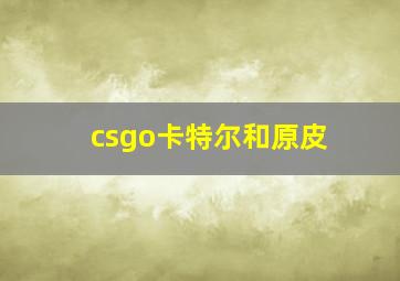 csgo卡特尔和原皮