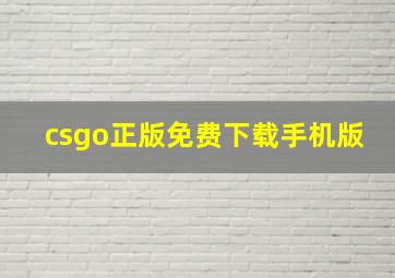 csgo正版免费下载手机版