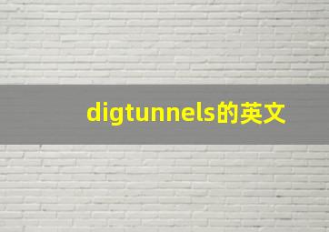 digtunnels的英文