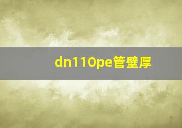 dn110pe管壁厚