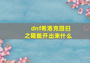 dnf希洛克回归之箱能开出来什么