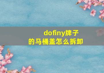 dofiny牌子的马桶盖怎么拆卸