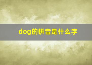 dog的拼音是什么字