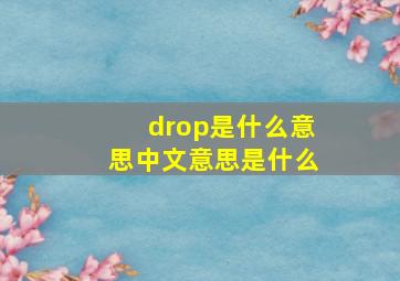 drop是什么意思中文意思是什么