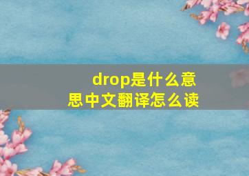 drop是什么意思中文翻译怎么读