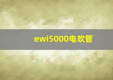 ewi5000电吹管