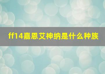 ff14嘉恩艾神纳是什么种族