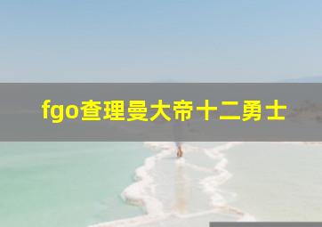 fgo查理曼大帝十二勇士