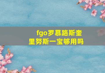 fgo罗慕路斯奎里努斯一宝够用吗