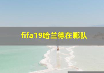 fifa19哈兰德在哪队