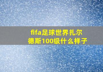 fifa足球世界扎尔德斯100级什么样子