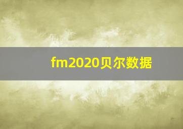 fm2020贝尔数据