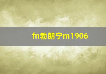 fn勃朗宁m1906