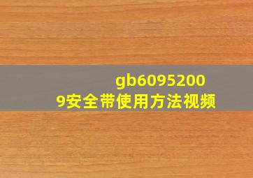 gb60952009安全带使用方法视频