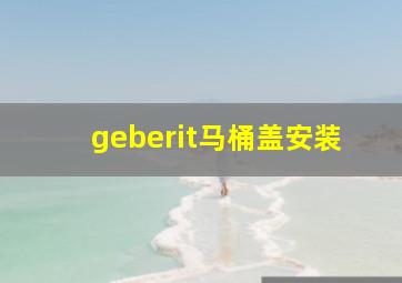 geberit马桶盖安装