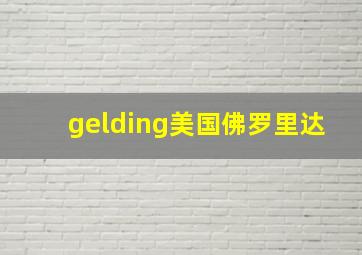 gelding美国佛罗里达