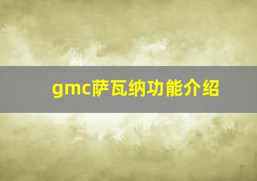 gmc萨瓦纳功能介绍