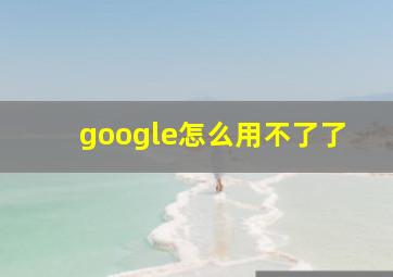 google怎么用不了了