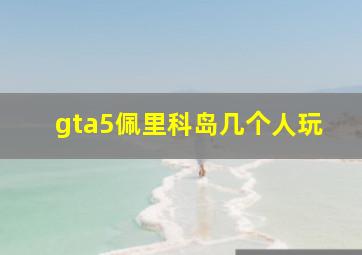 gta5佩里科岛几个人玩