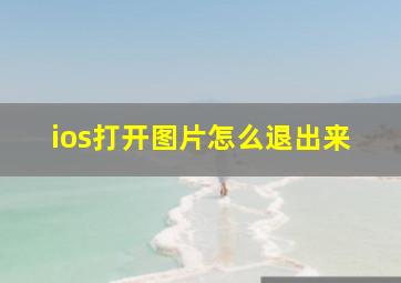 ios打开图片怎么退出来