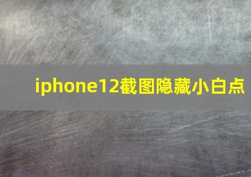 iphone12截图隐藏小白点