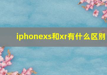 iphonexs和xr有什么区别