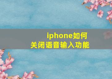 iphone如何关闭语音输入功能