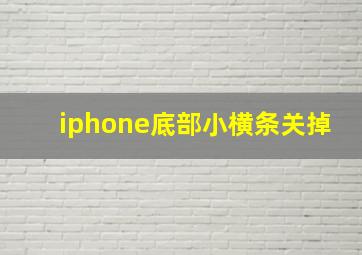 iphone底部小横条关掉