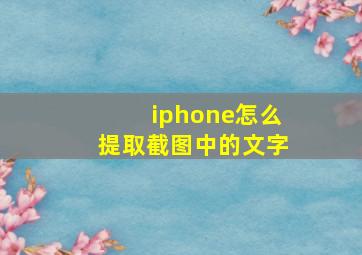 iphone怎么提取截图中的文字