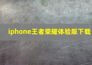 iphone王者荣耀体验服下载