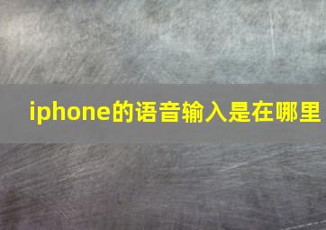 iphone的语音输入是在哪里