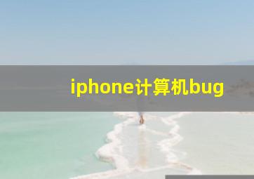 iphone计算机bug