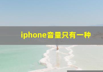 iphone音量只有一种