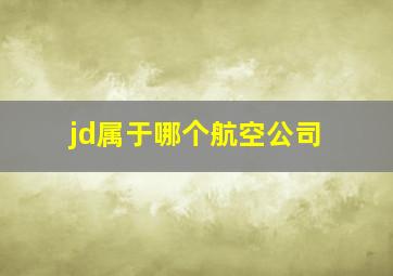 jd属于哪个航空公司