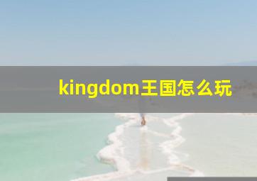 kingdom王国怎么玩