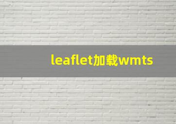 leaflet加载wmts