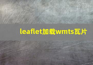 leaflet加载wmts瓦片