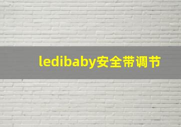 ledibaby安全带调节