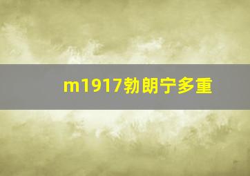 m1917勃朗宁多重