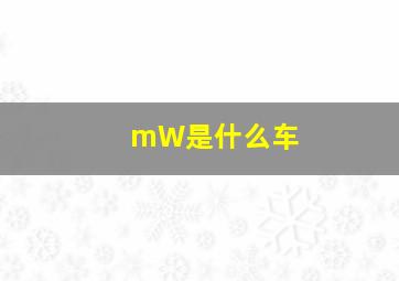 mW是什么车