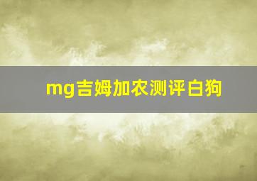 mg吉姆加农测评白狗