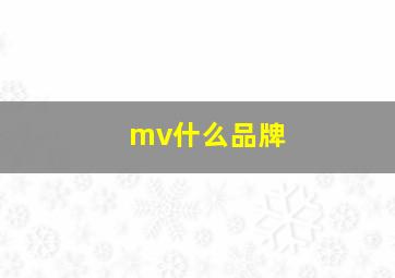 mv什么品牌