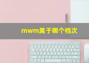 mwm属于哪个档次